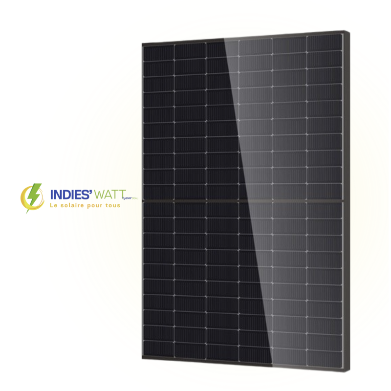 Panneau solaire DMEGC DM500M10RT-B60HBT