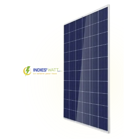 Panneau solaire Trina TSM-PEG5